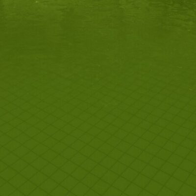 Image for choice number 4